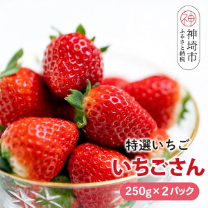 yӂ邳Ɣ[Łzyst ߘa8N1{蔭JnzԌ I() 250g×2pbNy C`S uh ̂ fU[g XC[c t[c aP[L o