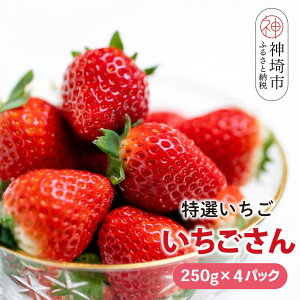 yӂ邳Ɣ[Łzyst ߘa8N1{蔭JnzԌ I() 250g×4pbNy C`S uh ̂ fU[g XC[c t[c aP[L o