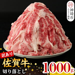 yӂ邳Ɣ[ŁzIׂ锭y󂠂zꋍ؂藎Ƃ1,000gyⓀ  A 킯  lC KiO s ꋍ A5 A4 јa Y a5 a4 ꌧ _s 500g 1kgz