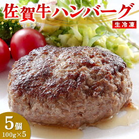 【ふるさと納税】佐賀牛ハンバーグ｜冷凍 国産 冷凍食品 お取り寄せ ギフト 高級 牛 佐賀 ふるさと 取り寄せ 美味しい 贈り物 調理済み 電子レンジ レンジ レンジ調理 弁当 温めるだけ 牛100% A5 肉 黒毛和牛 最高級 ブランド牛 バーベキュー グルメ お歳暮 送料無料 H106201
