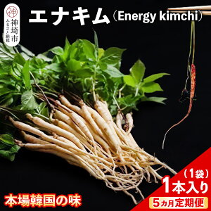 yӂ邳Ɣ[Łzy5Jցzyq`z`̃GiL(lQXvEgEL`)11{y{̖ `̖ ؍ sh Nu {sz(H104144)