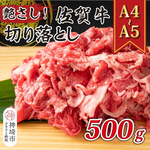 yӂ邳Ɣ[ŁzIyA4`A5zꋍ؂藎Ƃ 500gy  uh јa ӂ邳Ɣ[Łz(H112143)