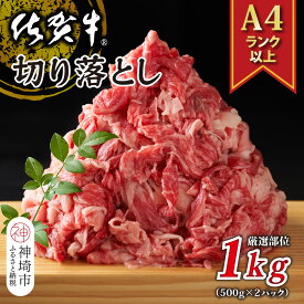 【ふるさと納税】艶さし！【A4～A5】佐賀牛切り落とし 1kg(500g×2P)【肉 牛肉 ブランド牛 黒毛和牛 ふるさと納税】(H112145)