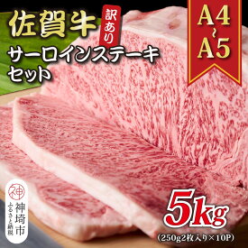 【ふるさと納税】訳あり！【A4～A5】佐賀牛サーロインステーキセット 5kg(250g 2枚入り×10P)【肉 牛肉 ブランド牛 黒毛和牛 ふるさと納税】(H112130)