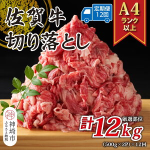 yӂ邳Ɣ[Łzy12ցzIyA4`A5zꋍ؂藎Ƃ 1kg(500g×2P)×12y  uh јa ӂ邳Ɣ[Łz(H112180)