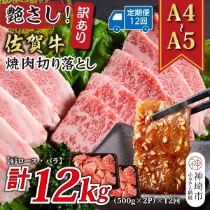 yӂ邳Ɣ[Łzy12ցz󂠂IIyA4`A5zꋍē؂藎Ƃ([XEo) 1kg(500g×2P)×12y  uh јa ӂ邳Ɣ[Łz(H112243)