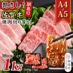 yӂ邳Ɣ[Łz󂠂IIyA4`A5zꋍē؂藎Ƃ([XEo)1kg(500g×2P)    uh јa Y BBQ o[xL[  I 炩 Mtg  
