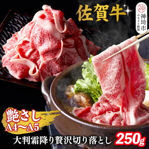 �y�ӂ邳�Ɣ[�Łz�������I�yA4�`A5�z���ꋍ�唻���~���ґ�؂藎�Ƃ� 250g�y���ꋍ �؂藎�Ƃ� ���~�� �����[�X �唻 �ꖇ�� ���؂� 250g �������z(H112339)