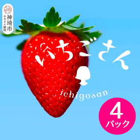 【ふるさと納税】【2026年1月上旬より発送開始】いちごさん4パック【果物 くだもの フルーツ イチゴ 苺 佐賀】(H116133)