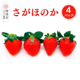 【ふるさと納税】【2026年1月上旬より発送開始】さがほのか4パック【果物 くだもの フルーツ いちご イチゴ 苺 佐賀】(H116134)