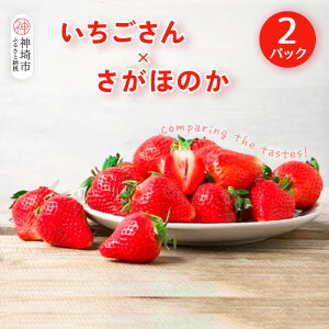 yӂ邳Ɣ[Łzy2026N1{蔭JnzHה 2pbN(Eق̂)yʕ  t[c C`S  z(H116135)