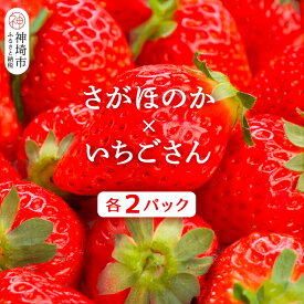 【ふるさと納税】【2026年1月上旬より発送開始】苺(さがほのか・いちごさん)各2パック【果物 くだもの フルーツ イチゴ 佐賀】(H116136)