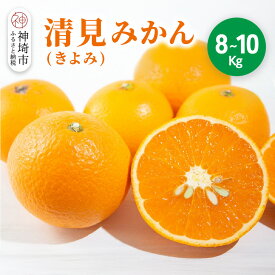 【ふるさと納税】【2026年3月中旬より発送開始】清見(きよみ)みかん 8kg～10kg【みかん オレンジ 柑橘 フルーツ デザート】(H116139)