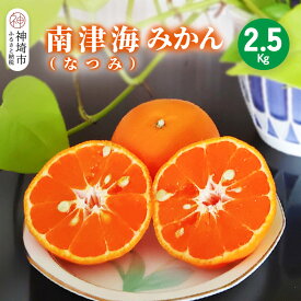 【ふるさと納税】【2026年4月上旬より発送開始】南津海(なつみ)みかん 2.5kg【みかん 柑橘 オレンジ ポンカン フルーツ デザート 果汁】(H116155)