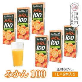 【ふるさと納税】みかん100 1L×6本入り【みかんジュース 蓋付 天然 果汁100％】(H116228)