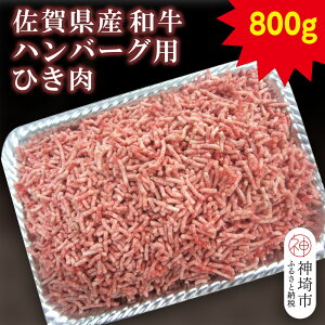 yӂ邳Ɣ[ŁzꌧYano[OpЂ 800gyјa  ~` z(H116111)
