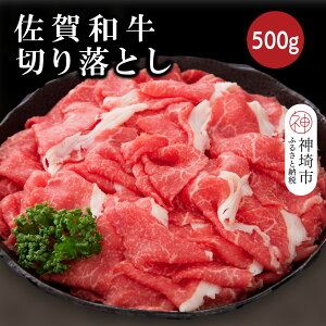 yӂ邳Ɣ[Łza؂藎Ƃ 500gy јa    Y Yz(H116125)