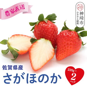 yӂ邳Ɣ[ŁzyR8N1蔭 _ƒzق̂220g×2pbNy  C`S ʕ t[c XC[c fU[g ӂ邳Ɣ[Łz(H117101)