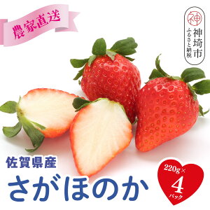 yӂ邳Ɣ[ŁzyR8N1蔭 _ƒzق̂220g×4pbNy  C`S ʕ t[c XC[c fU[g ӂ邳Ɣ[Łz(H117102)