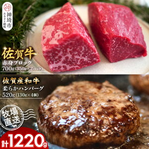 yӂ邳Ɣ[Łzꋍ ԐgubN350g×2pbNv700gE_炩no[O130g×4v520gyꋍ Ya ԐgubN no[O q꒼ [Xgr[t Ɛ јaz(H122105)