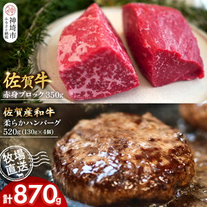 yӂ邳Ɣ[Łzꋍ ԐgubN350g×1pbNv350gE_炩no[O130g×4v520gyꋍ Ya ԐgubN no[O q꒼ [Xgr[t Ɛ јaz(H122106)