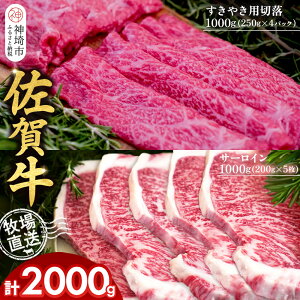 yӂ邳Ɣ[Łzꋍ T[CXe[L200g×5v1000g ₫pؗ250g×4pbNv1000gyꋍ T[C Xe[L ₫ ؗ  Ԑg ~ z(H122124)