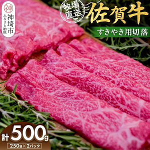 yӂ邳Ɣ[Łzꋍ ₫pؗ250g×2pbNv500gyꋍ Ăp ؂藎Ƃ q꒼ z(H122140)