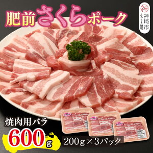 【ふるさと納税】肥前さくらポーク 焼肉用 豚バラ 600g【豚肉 やわらかい 甘み 焼肉 野菜炒め 小分け 佐賀県 美味しい キメ細かい 脂身】(H123109)