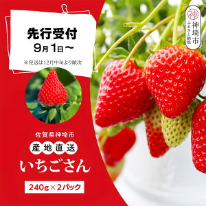 yӂ邳Ɣ[Łzyst ߘa7N12{蔭zy_ƒz240g×2pbNyꌧY Y lC   XC[c ʕ uhz(H124101)