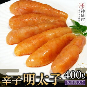 yӂ邳Ɣ[Łz̖FEhqq400gyĂ yY Ԃ Mtg  Ε CN ށz(H024107)