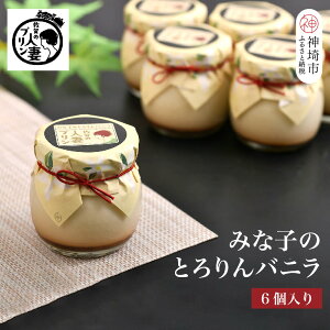 【ふるさと納税】佐賀の人妻プリン【子供に食べさせたいプリン】みな子のとろりんバニラ6個詰合せ【プリン デザート おやつ お土産 手土産 ふるさと納税】(H034112)