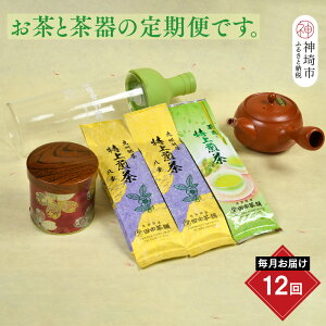 【ふるさと納税】【毎月お届け12回】特上煎茶八重100g2本と季節の茶100g1本(急須付き) 【定期便 九州 お茶 緑茶 急須 フィルターインボトル 定期便】(H047113)
