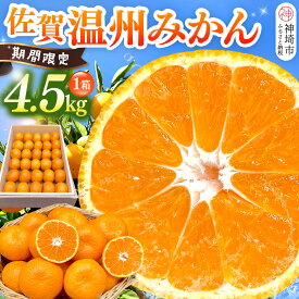 【ふるさと納税】【令和7年11月下旬より発送】佐賀温州みかん(1箱 4.5kg)【フルーツ 佐賀 佐賀県産 早生みかん 温州みかん ギフト 贈答 プレゼント】 (H072107)