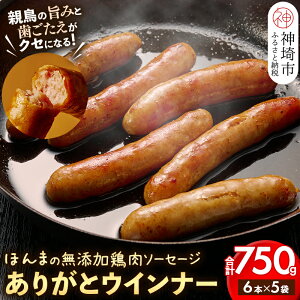 yӂ邳Ɣ[ŁzyY{\[Z[Wz肪ƃEBi[5܁yY _Y Ⓚ Y EBi[ \[Z[W Rz(H073111)