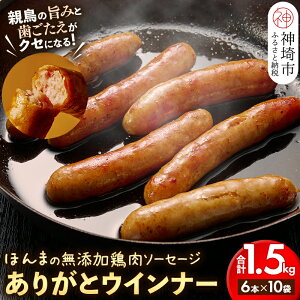 yӂ邳Ɣ[ŁzyY{\[Z[Wz肪ƃEBi[10܁yY _Y Ⓚ Y EBi[ \[Z[W Rz(H073112)