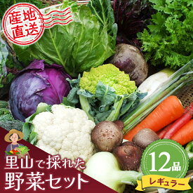 【ふるさと納税】里山で採れた野菜セットレギュラー 12品 【有機野菜 おまかせ野菜セット イタリア野菜 西洋野菜】(H078105)
