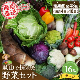 【ふるさと納税】年間定期便48回 里山で採れた野菜セットラージ 16品 【有機野菜 おまかせ野菜セット イタリア野菜 西洋野菜 定期便】(H078112)