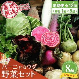 【ふるさと納税】年間定期便12回 バーニャカウダ野菜セットショート 8品 【有機野菜 おまかせ野菜セット イタリア野菜 西洋野菜 定期便】(H078141)