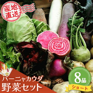 【ふるさと納税】バーニャカウダ野菜セットショート 8品 【有機野菜 おまかせ野菜セット イタリア野菜 西洋野菜】(H078113)