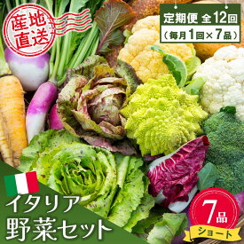 【ふるさと納税】年間定期便12回 イタリア野菜セットショート 7品 【有機野菜 おまかせ野菜セット イタリア野菜 西洋野菜 定期便】(H078146)
