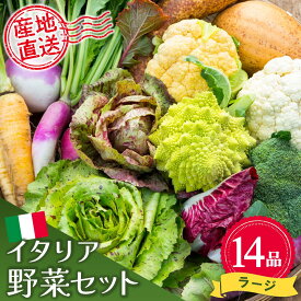 【ふるさと納税】イタリア野菜セットラージ 14品 【有機野菜 おまかせ野菜セット イタリア野菜 西洋野菜】(H078133)