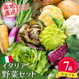 【ふるさと納税】イタリア野菜セットショート 7品 【有機野菜 おまかせ野菜セット イタリア野菜 西洋野菜】(H078145)