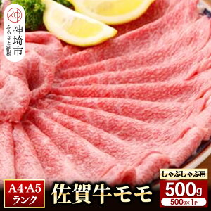 yӂ邳Ɣ[Łzꋍ ԂԁEĂp500g bXCX   јa  Ԑg uh Y BBQ o[xL[  I 炩 yV  Zbg ① 