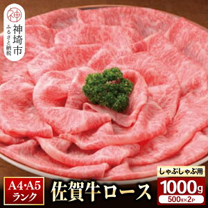 yӂ邳Ɣ[ŁzI ꋍ [X ԂԁEĂp 1000gbē Ă Ă Ԃ    јaԐg uh Y BBQ o[xL[ A5 A4  I 