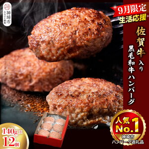 yӂ邳Ɣ[ŁzyԌILy[zꋍ荕јano[O140g×12yY Â ȒP ʕ `Ղz(H081148)