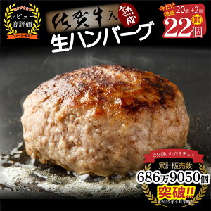 yӂ邳Ɣ[ŁzyԌIzꋍ no[O 20+2 e 2.6kg(120g×22)yꋍ јa uh B no[O  ؓ Y ٓ  y  lCz(H083105