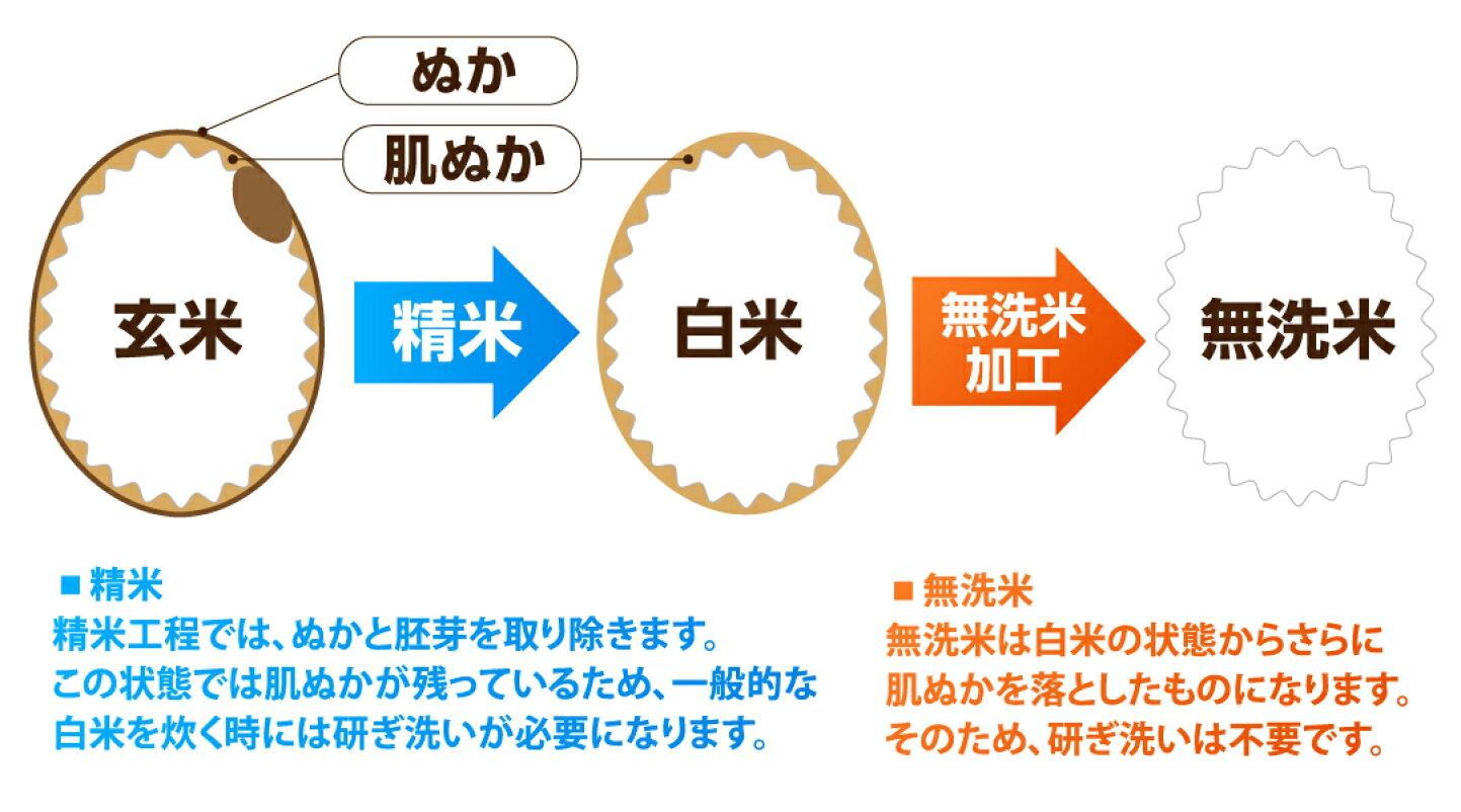 無 洗米 と は