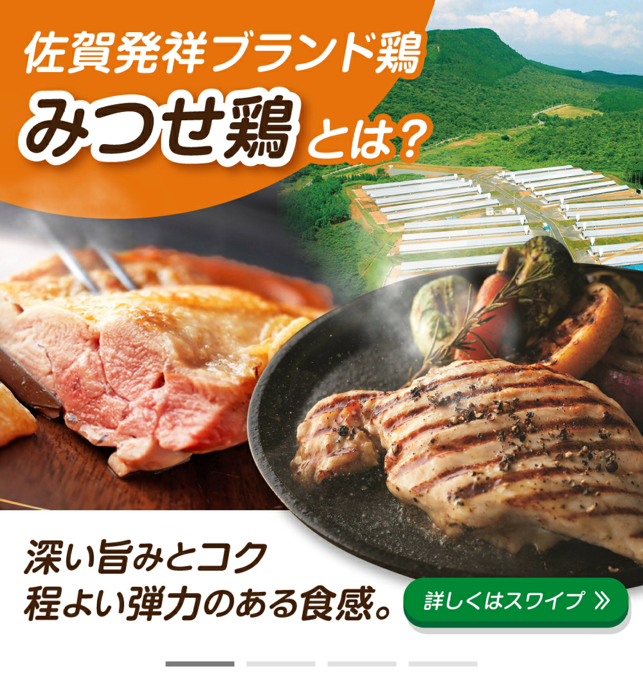 赤鶏を親に持ち、北部九州の自然豊かな環境でじっくり育てた佐賀銘柄鶏「みつせ鶏」。深い旨みとコク、ほどよい弾力が特徴です。