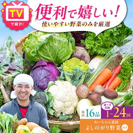 【ふるさと納税】【レビューキャンペーン開催中！】【16品 選べる配送回数】農薬に頼らない！カラダにやさしい「よしのがり野菜」セット（ラージ）| 野菜 定期便 詰め合わせ 旬 |吉野ヶ里町/あいちゃん農園[FAA009/FAA010/FAA011]
