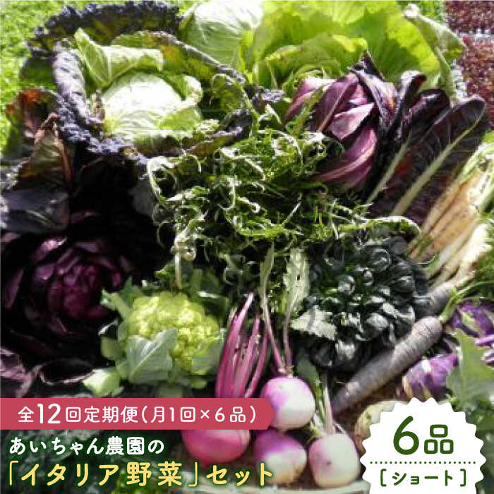 ふるさと納税 日本製 6品 12回定期便 あいちゃん農園の FAA014 セット イタリア野菜 供え ショート